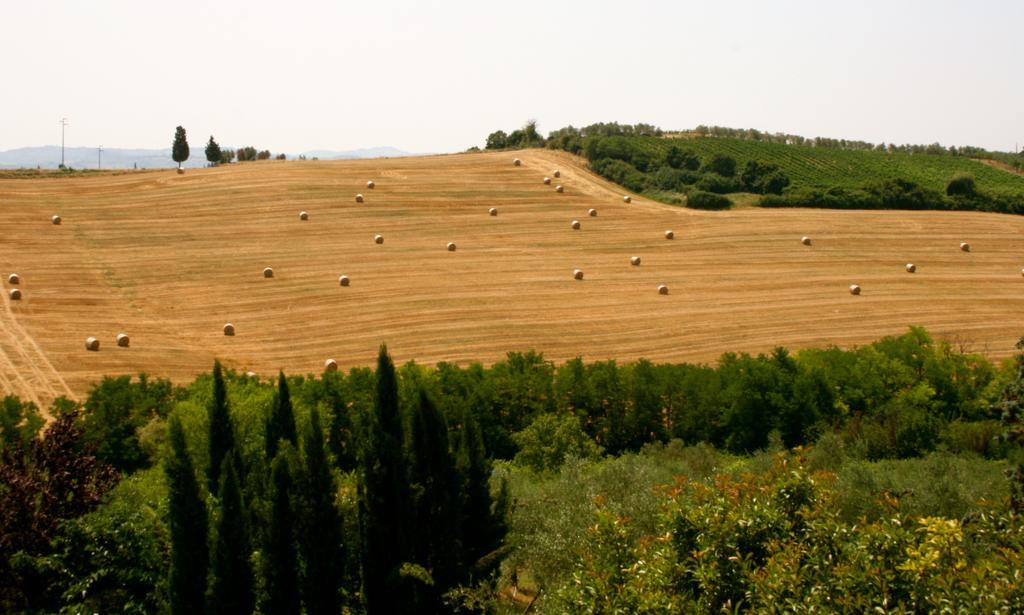 Podere Gattabigia Apartment Lastra a Signa Luaran gambar